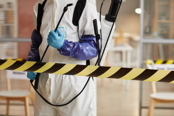 Professional Sewage Cleanup technician working in Pittsburg, NH